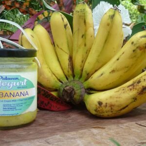 BANANA Yogurt – Full Cream Milk – 17% pure fruit content
