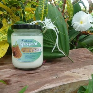 WILD HONEY Yogurt – Full Cream Milk – 9% pure honey