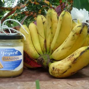 BANANA Yogurt – Palawan Milk – 17% pure fruit content