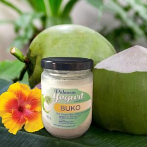 BUKO Yogurt -Full Cream Milk