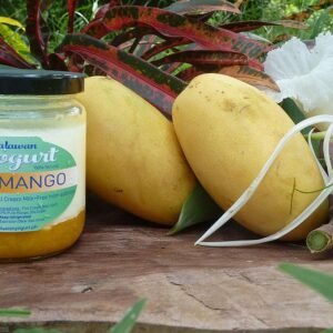 MANGO Yogurt – Full Cream Milk – 17% pure fruit