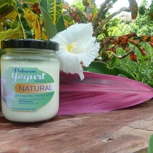 NATURAL (Plain) Yogurt – Full Cream Milk