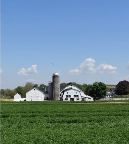 farm-about-us-gallary-4-opt